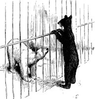 bears_17608_lg.gif