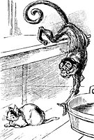 monkey_17618_sm.gif