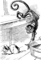 monkey_17618_md.gif