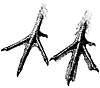 grouse_feet_17621_th.gif