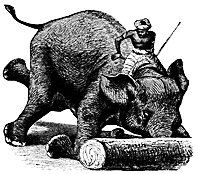 elephant_17627_sm.gif