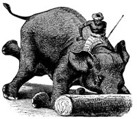 elephant_17627_md.gif