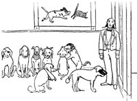 dogs_17647_md.gif