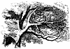 alice3_17653_th.gif