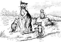 cats_17672_md.gif