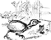chick_17683_th.gif