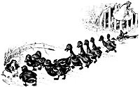 ducklings_17726_sm.gif