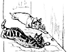 kittens_17737_th.gif
