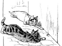 kittens_17737_lg.gif