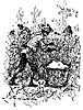 gourd_17743_th.gif