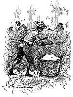 gourd_17743_sm.gif
