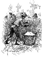 gourd_17743_md.gif