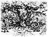 gourd3_17745_th.gif