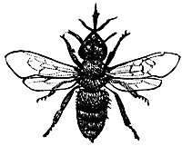 bee2_17759_sm.gif