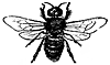 bee3_17760_th.gif
