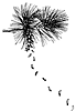 cone_17767_th.gif