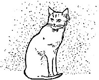 cat_17791_sm.gif