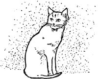 cat_17791_lg.gif