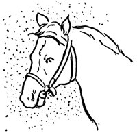 horse_17792_lg.gif