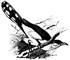 bird2_17809_th.gif