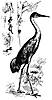 crane_17847_th.gif