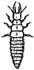 larva_17861_th.gif