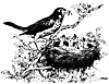 birds_17871_th.gif