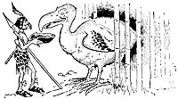 dodo_17891_sm.gif