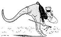 kangaroo_17901_sm.gif
