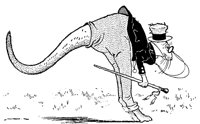 kangaroo_17901_lg.gif