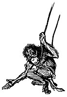 monkey_17921_sm.gif