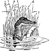crocodile_17974_th.gif