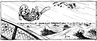kitty2_17994_sm.gif
