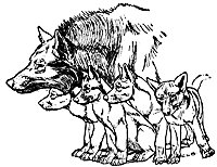 mowgli2_20929_sm.gif