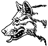 mowgli3_20930_th.gif
