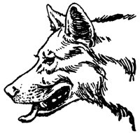 mowgli3_20930_lg.gif