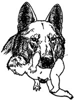 mowgli5_20933_lg.gif