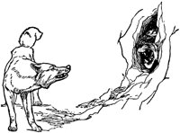 mowgli7_20937_lg.gif