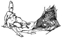 mowgli8_20938_md.gif