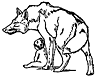 mowgli13_20945_th.gif