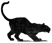 mowgli14_20946_lg.gif