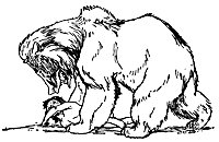 mowgli16_20948_sm.gif
