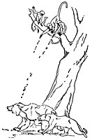 mowgli17_20950_sm.gif