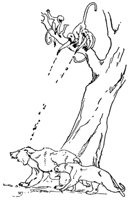 mowgli17_20950_md.gif
