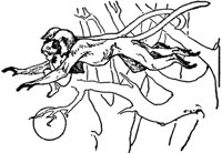 mowgli19_20953_md.gif