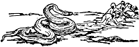 mowgli20_20954_sm.gif