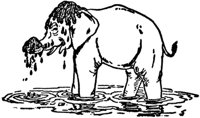 elephant_20956_md.gif
