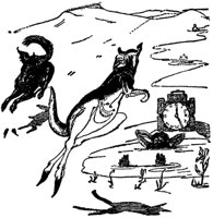 kangaroo2_20975_md.gif