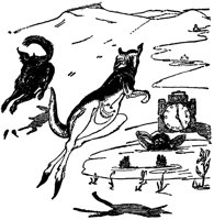 kangaroo2_20975_lg.gif