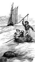 castaways2_20985_lg.gif